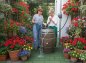 Preview: Holzfass 225 Liter medium, Wasserfass